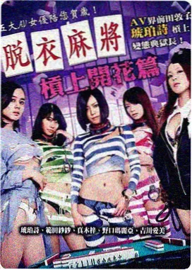 回声码头标签卡片